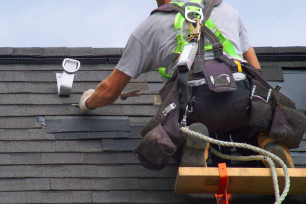Best Residential Roof Replacement  in Loyal, WI