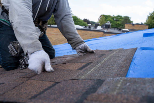 Best Tile Roofing Contractor  in Loyal, WI