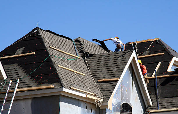 Best Metal Roofing Contractor  in Loyal, WI