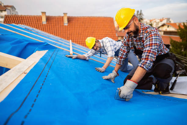 Best Commercial Roofing Services  in Loyal, WI