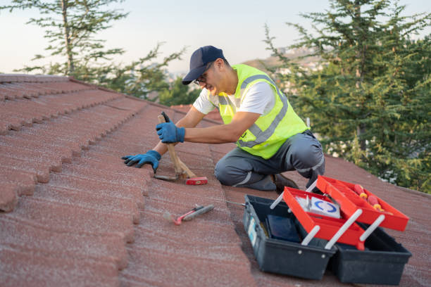 Professional Roofing Contractor in Loyal, WI