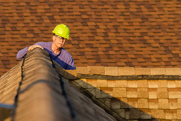 Best Roof Waterproofing Services  in Loyal, WI