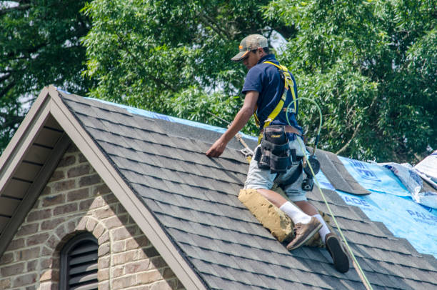 Best Roofing Contractors for Homes  in Loyal, WI